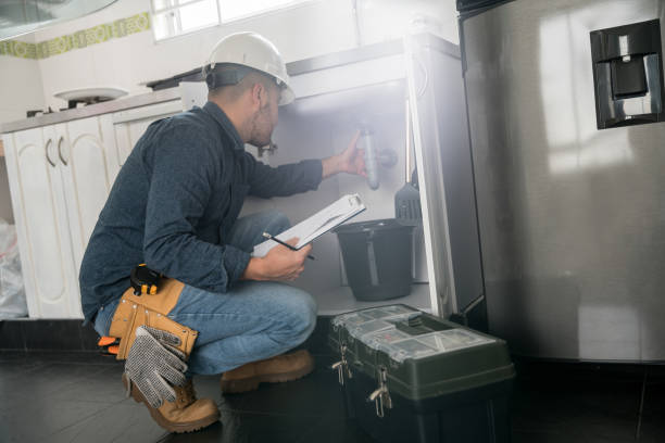 Best Local Plumber Services  in Kentland, IN